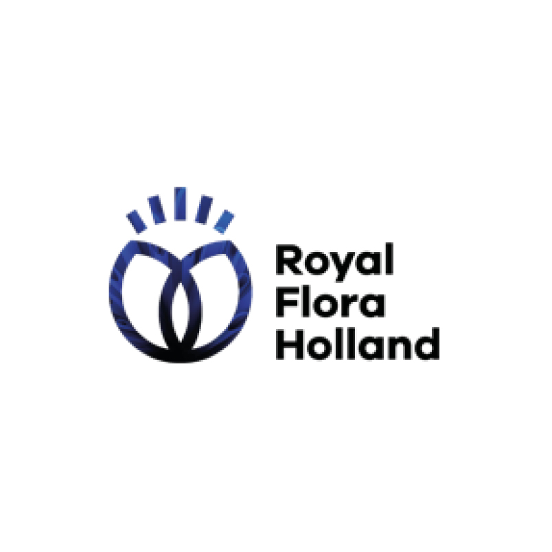 https://vepa.co.uk/wp-content/uploads/2020/02/Royal-Flora-Holland.jpg